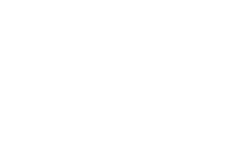Raise the Roof Entertainment